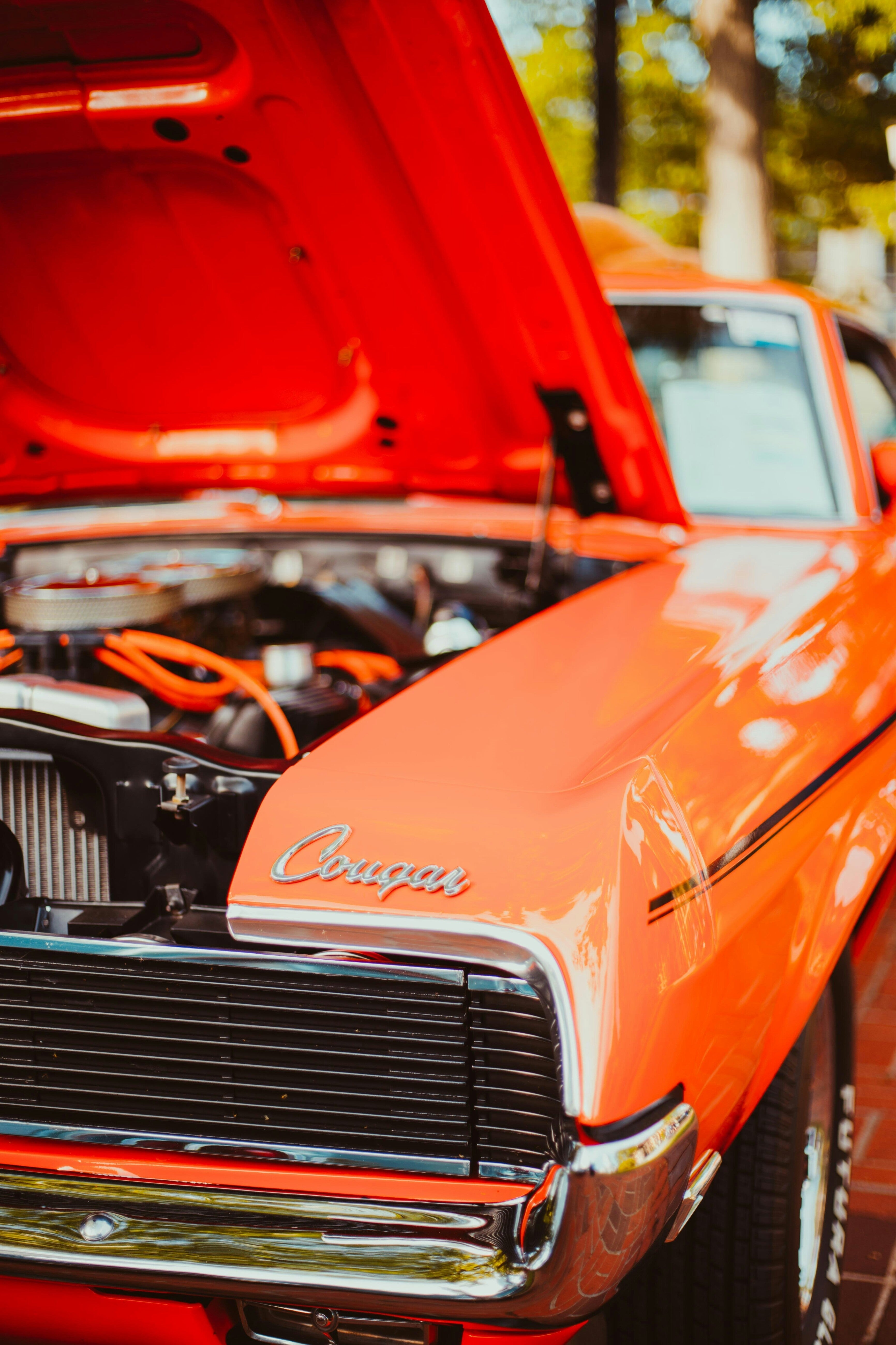 Classic car on display at the Krause for a Cause charity car show