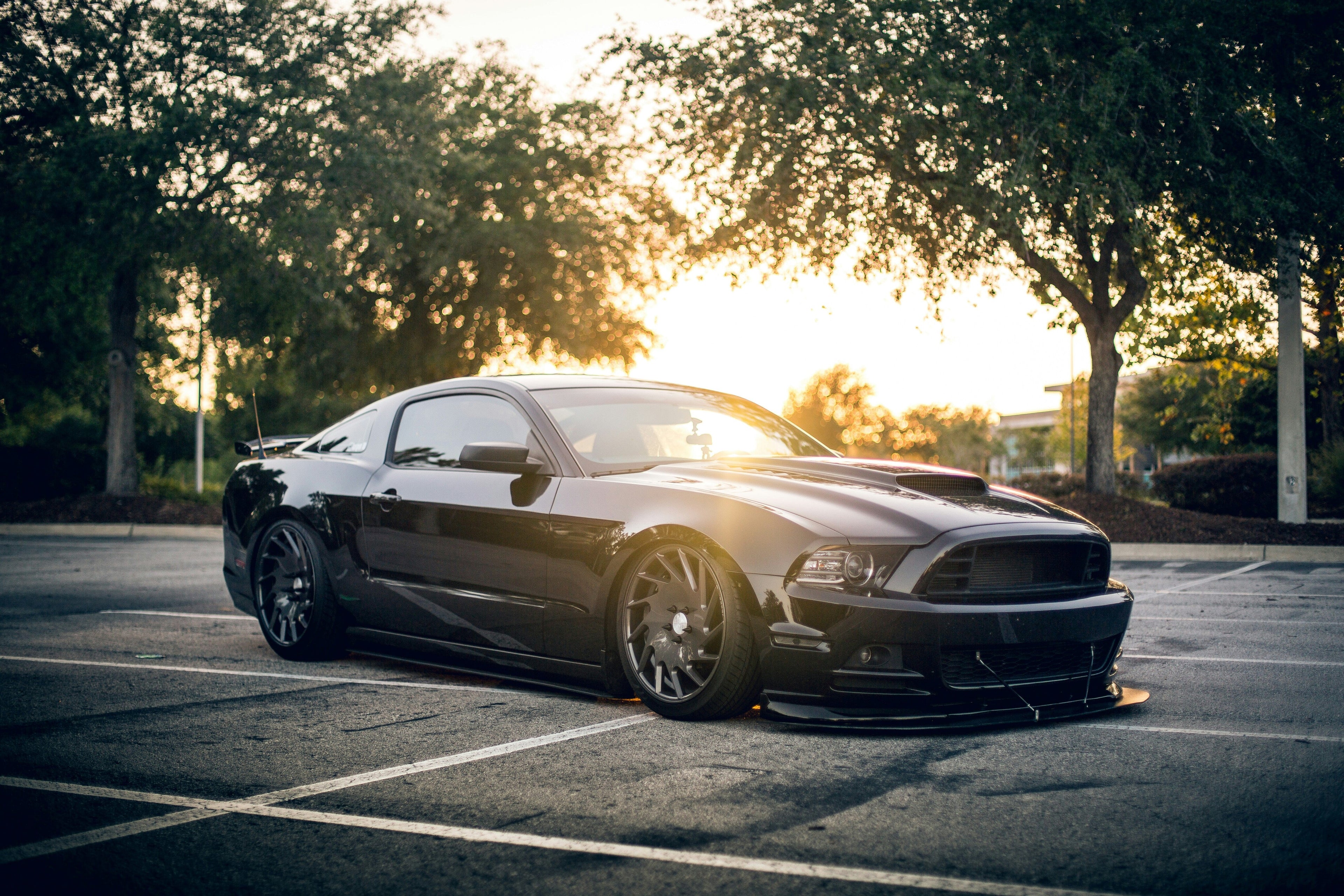 Show car at the Krause for a Cause event